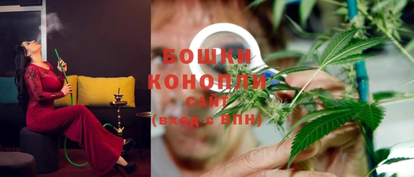 шишки Михайловка