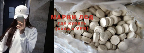 крисы Магадан