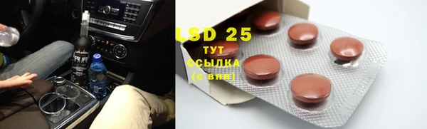 ГАЛЛЮЦИНОГЕННЫЕ ГРИБЫ Магас