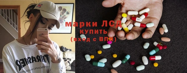 ГАЛЛЮЦИНОГЕННЫЕ ГРИБЫ Магас