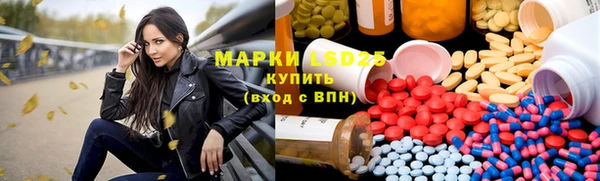 крисы Магадан