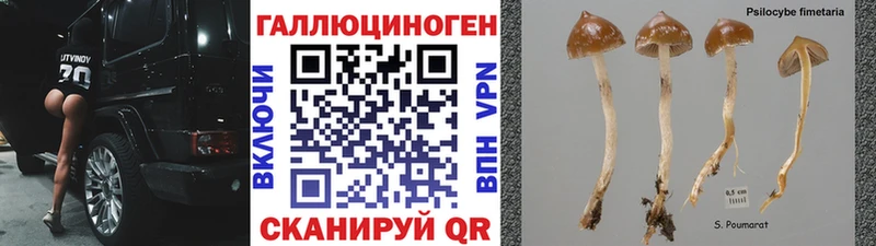 Галлюциногенные грибы MAGIC MUSHROOMS  Грайворон 